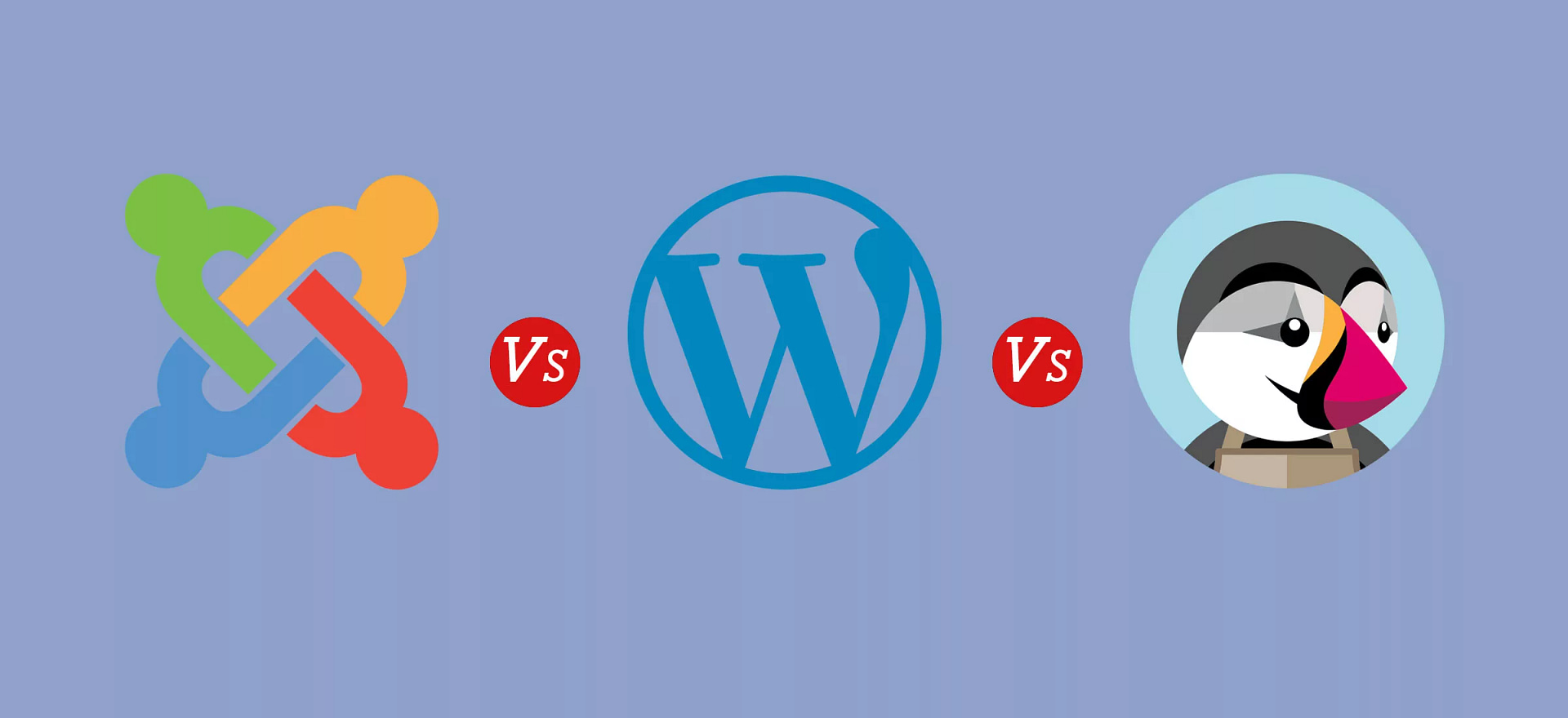 WordPress vs Joomla vs PrestaShop : Lequel choisir pour votre site web à Nîmes et dans le Gard ?